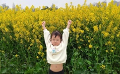 飞向别人的床为什么被禁